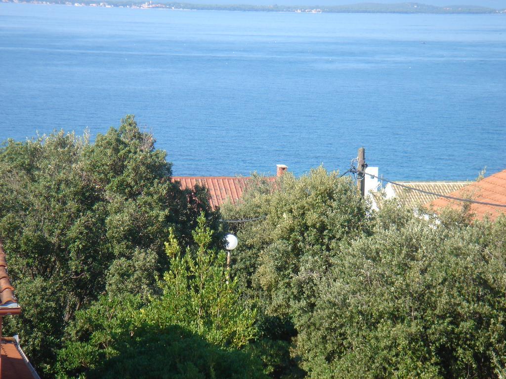 Villa Laurus Kožino エクステリア 写真