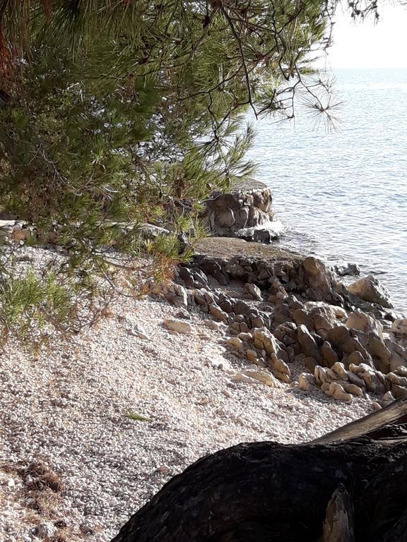 Villa Laurus Kožino エクステリア 写真