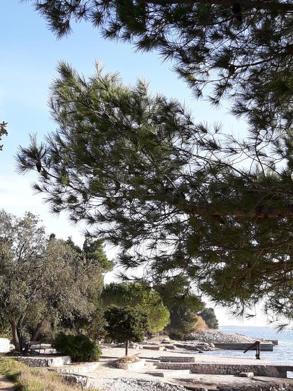 Villa Laurus Kožino エクステリア 写真