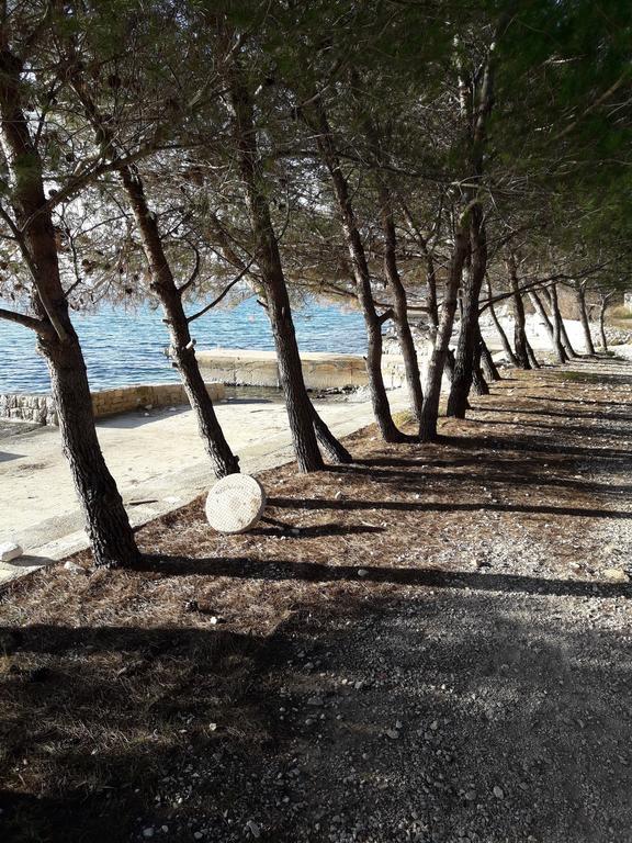 Villa Laurus Kožino エクステリア 写真